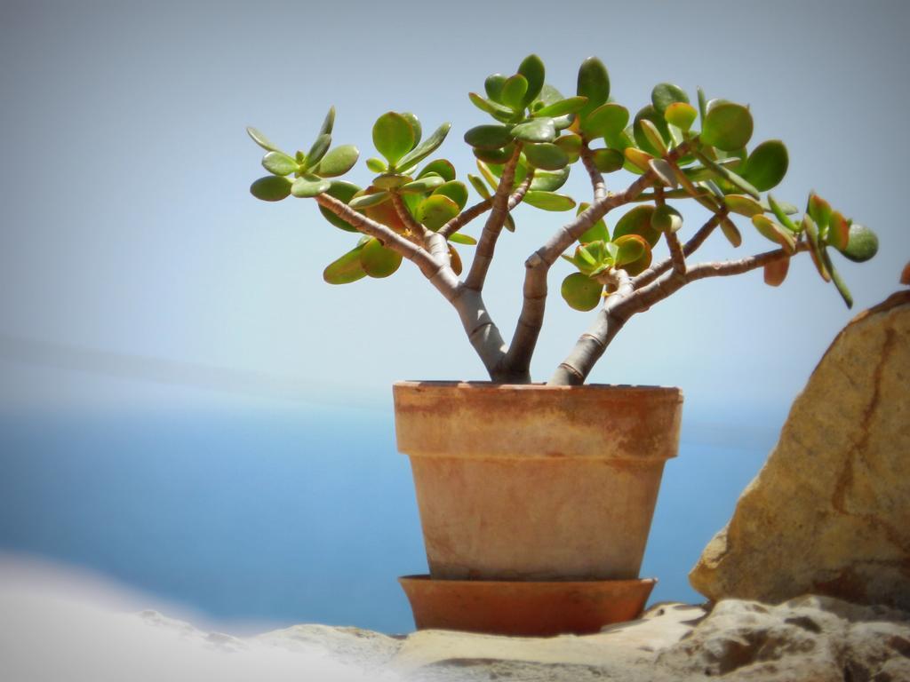 Appartamento Don Nino Lido di Noto Eksteriør bilde
